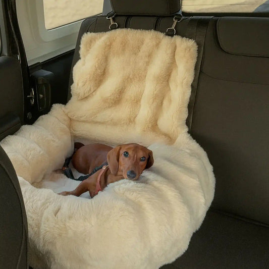 Luxurious Cozy Car Bed